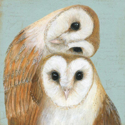 Two Barn Owls Card