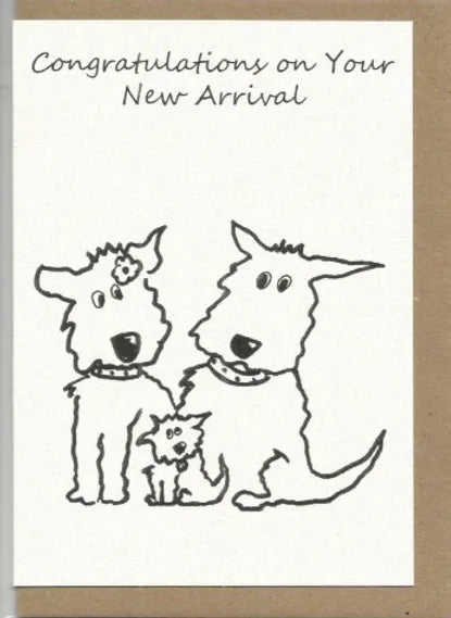 New Arrival Seamus