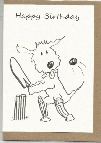 Happy Birthday Seamus - Cricket